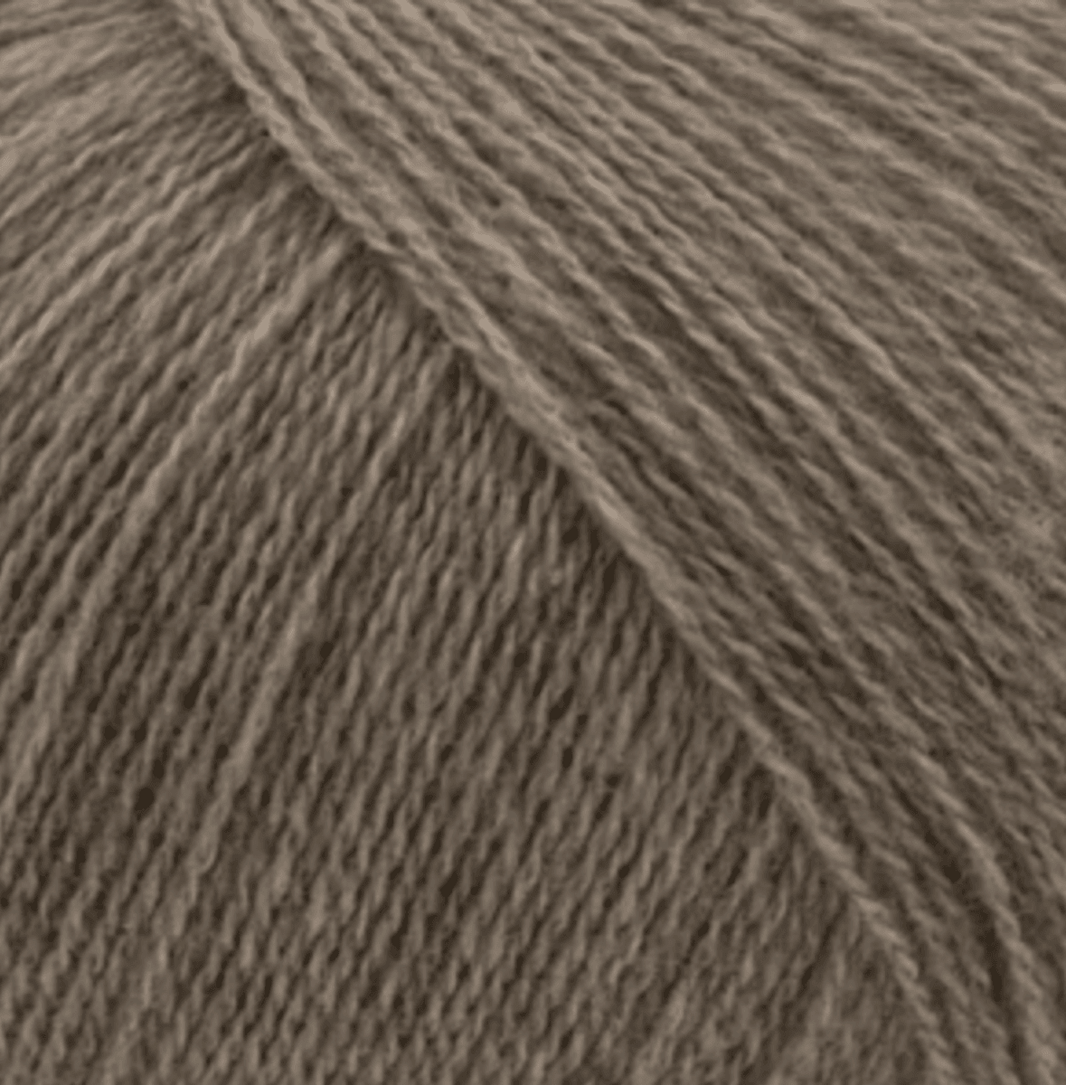 GEPARD CASHMERE LACE